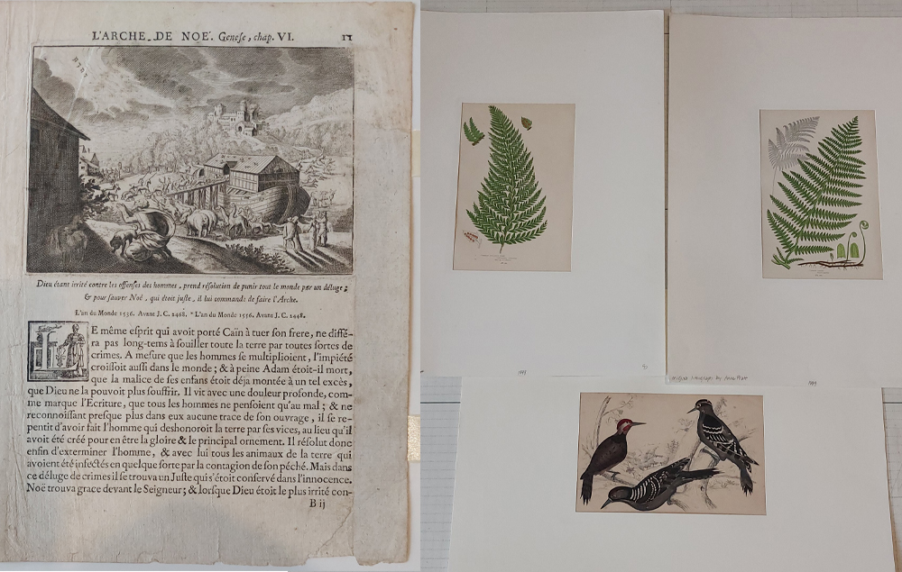 תחריטים עתיקים סיפורים תנכיים והתבוננות על טבע בצביעה ידנית